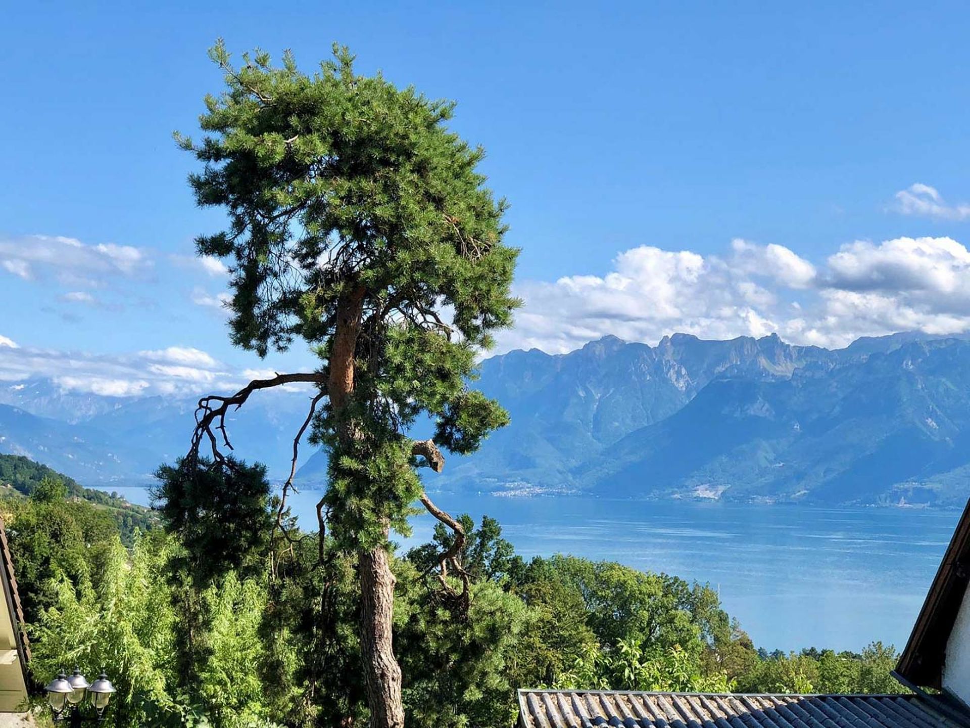 Magnifique appartement de 4,5 pièces avec vue sur le lac